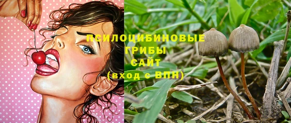 сатива Абаза
