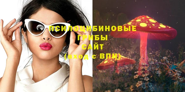 ECSTASY Алексин