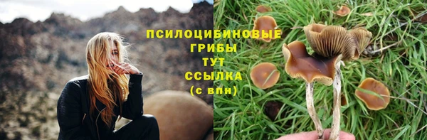 сатива Абаза