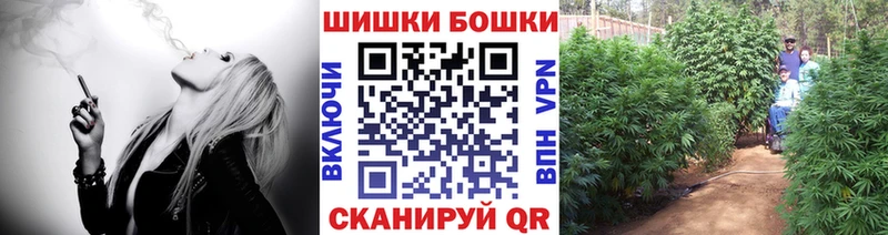 наркотики Новочеркасск MEGA ССЫЛКА Конопля план